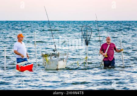 Männer stehen im hüfttiefen Wasser beim Angeln, 29. August 2013, in Bayou La Batre, Alabama. Die Stadt ist bekannt als die Meeresfrüchtetropole von Alabama. Stockfoto