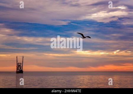 Apalachee Girl, ein Garnelenboot, geht nach einem langen Tag mit Garnelen am 27. Oktober 2013 in Bayou La Batre, Alabama, nach Hause. Stockfoto