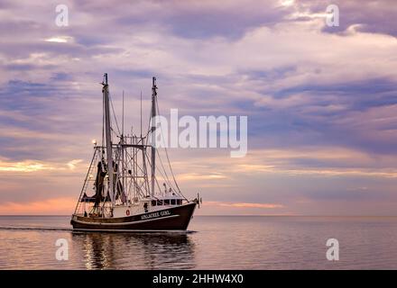 Apalachee Girl, ein Garnelenboot, geht nach einem langen Tag mit Garnelen am 27. Oktober 2013 in Bayou La Batre, Alabama, nach Hause. Stockfoto