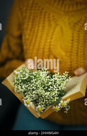 Mädchen in Strickpullover hält Buch mit Gänseblümchen innen. Stockfoto