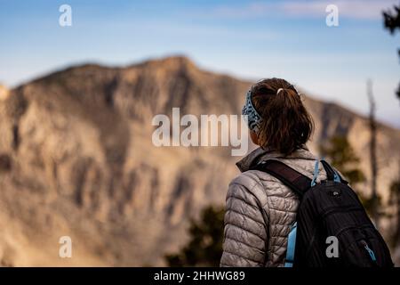 Die Brünette blickt auf die Mountain Wilderness im Guadalupe Mountains National Park Stockfoto