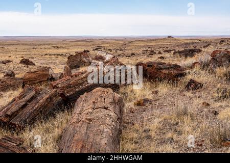 Broken Logs of Petrified Wood mit dem Achat House in the Distance im Petrified Forest National Park Stockfoto