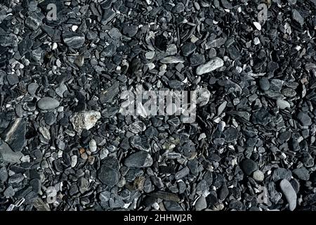 Kleine Strandfelsen, die von der Flut an einem felsigen Strand an der Westküste von Vancouver Island, British Columbia, Kanada, getragen werden Stockfoto