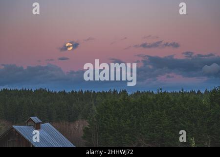 Dramatischer Abendhimmel mit gelbem Mond über der County-Szene Stockfoto