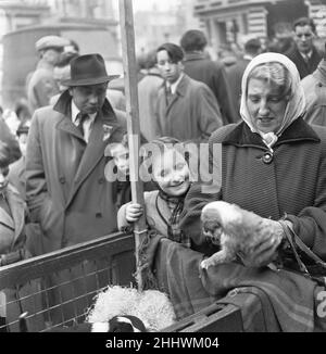 Welpen zum Verkauf an einem Stand auf dem Flohmarkt in Club Row, Bethnal Green, E1 London 1st. März 1955 Stockfoto