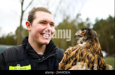 Rullstorf, Deutschland. 17th Januar 2022. Jaden Ernst, Betreiber eines Wildtierrettungszentrums, sieht eine Adlereule an. An einem abgelegenen Ort in der Nähe von Lüneburg werden gestrandete Adlereulen, Wellensittiche und Diamondback-Tauben aus Australien von Jaden Ernst wieder gesund gepflegt. (To dpa 'Tierpfleger Ernst befriedigt Wildvögel in der Notaufnahme') Quelle: Philipp Schulze/dpa/Alamy Live News Stockfoto