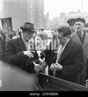 Welpen zum Verkauf an einem Stand auf dem Flohmarkt in Club Row, Bethnal Green, E1 London 1st. März 1955 Stockfoto