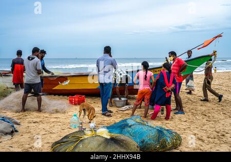 Eine Gruppe von unbekannten Menschen, die frischen Fisch von einem Straßenhändler am Edward Elliot's Beach kaufen. Stockfoto