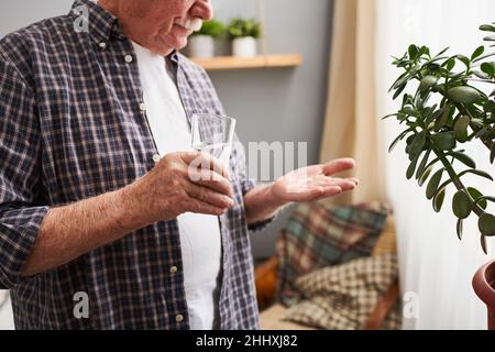 Hände eines älteren Mannes, der ein Glas Wasser und eine Pille hält und es nimmt, während er vor einer grünen Hauspflanze im Schlafzimmer steht Stockfoto