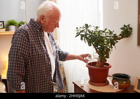 Pensionierter Mann mit grauen Haaren, der im Blumentopf eine heimische Pflanze wässert, während er im Schlafzimmer bei einem Möbelstück steht Stockfoto