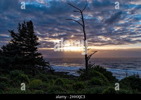 Sonnenuntergang über dem Pazifischen Ozean in Cape Perpetua Scenic Area, Oregon, USA Stockfoto