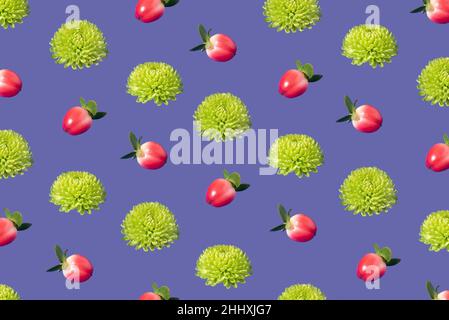 Kreatives nahtloses Muster aus isolierten indischen Chrysanthemen und Preiselbeere auf purpurem Hintergrund. Isometrisch. Konzept für Frühling und Sommer. Stockfoto
