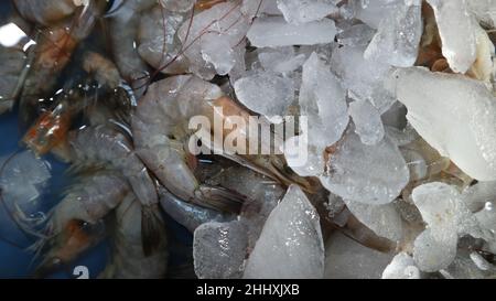 Garnelen sind auch eine tragende Säule auf dem traditionellen Fischmarkt von Malang in Indonesien Stockfoto