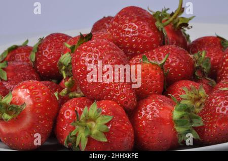 Rote frische Erdbeere isoliert auf dem Weiß Stockfoto