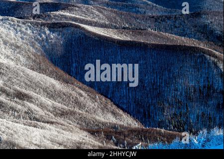 Blick auf den schneebedeckten Bergwald. Ein Buchenwald in den Bieszczady Bergen. Polen. Stockfoto