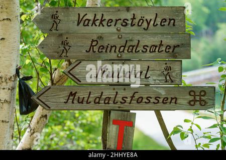 TAFJORD, NORWEGEN - 2020. JUNI 02. Hund poo Tasche hängt auf dem Baum in der Nähe von Wanderversuchsschild. Stockfoto