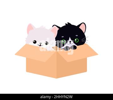 Niedliche Kawaii-Kätzchen sitzen in einer Schachtel auf weißem Hintergrund. Flacher Cartoon-Stil. Vektorgrafik Stock Vektor