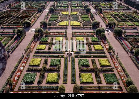 Villandry, Château de Villandry, Gemüsegarten Stockfoto