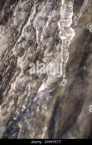 Details von Eisstalaktiten im Àneu-Tal im Winter (Naturpark Alt Pirineu, Katalonien, Spanien, Pyrenäen) ESP: Details de estalactitas de hielo Stockfoto