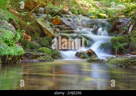 Ein Waldbach, aufgenommen mit einer langen Belichtungszeit im Sommer. Verträumte Aufnahme des kleinen Wasserfalls Stockfoto