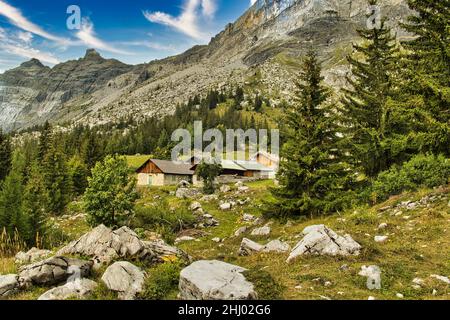 Alm und Berghof an der Baumgrenze in den Bergen oberhalb von Plaine Joux, Passy, Französische Alpen, Haute Savoie Stockfoto