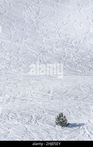 Winterskifahrspuren auf Schnee in Baqueira-Beret, am Bergpass Port de la Bonaigua (Pallars Sobirà, Lleida, Katalonien, Spanien, Pyrenäen) Stockfoto