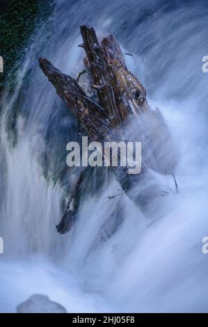 Schnee- und Eisdetails im Cabanes-Fluss im Gerdar-Wald im Winter (Nationalpark Aigüestortes i Estany de Sant Maurici, Katalonien, Spanien) Stockfoto