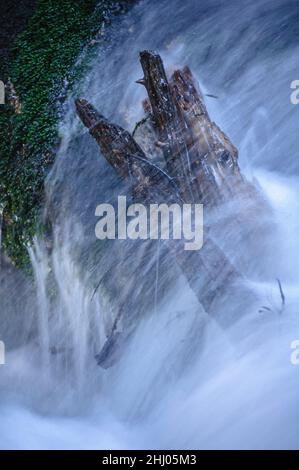 Schnee- und Eisdetails im Cabanes-Fluss im Gerdar-Wald im Winter (Nationalpark Aigüestortes i Estany de Sant Maurici, Katalonien, Spanien) Stockfoto