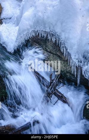 Schnee- und Eisdetails im Cabanes-Fluss im Gerdar-Wald im Winter (Nationalpark Aigüestortes i Estany de Sant Maurici, Katalonien, Spanien) Stockfoto