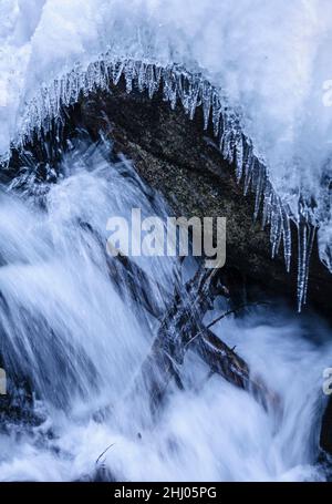 Schnee- und Eisdetails im Cabanes-Fluss im Gerdar-Wald im Winter (Nationalpark Aigüestortes i Estany de Sant Maurici, Katalonien, Spanien) Stockfoto