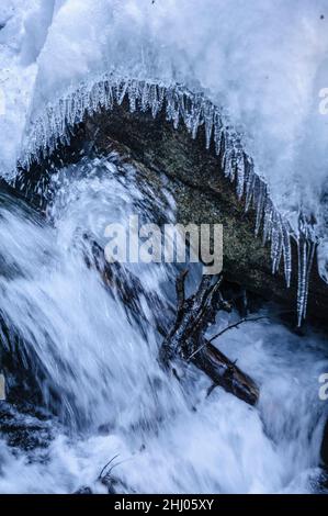 Schnee- und Eisdetails im Cabanes-Fluss im Gerdar-Wald im Winter (Nationalpark Aigüestortes i Estany de Sant Maurici, Katalonien, Spanien) Stockfoto