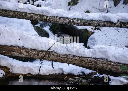 Schnee- und Eisdetails im Cabanes-Fluss im Gerdar-Wald im Winter (Nationalpark Aigüestortes i Estany de Sant Maurici, Katalonien, Spanien) Stockfoto