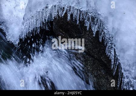 Schnee- und Eisdetails im Cabanes-Fluss im Gerdar-Wald im Winter (Nationalpark Aigüestortes i Estany de Sant Maurici, Katalonien, Spanien) Stockfoto