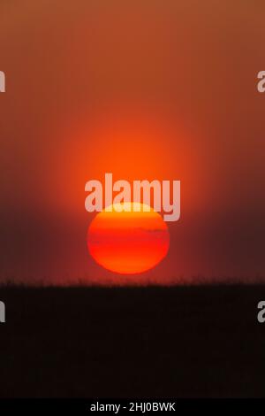 Sonnenuntergang mit atmosphärischem Dunst durch Staub Castro Verde Alentejo Portugal Stockfoto