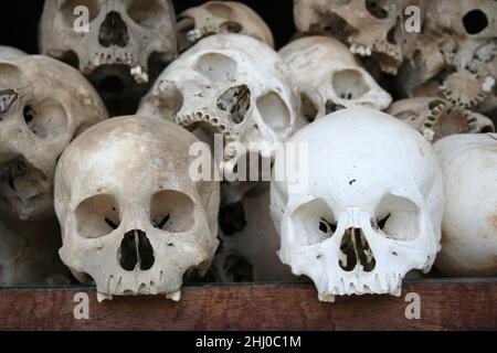 Schädel der Vizezeit des Khmer Rouge Regimes in einem Denkmal in Choeung Ek, besser bekannt als die Tötungsfelder, südlich von Phnom P Stockfoto