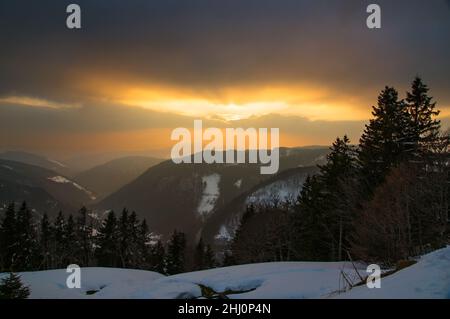 Blick über die Hügel des Schwarzwaldes, gefangen im orangen Dunst gegen die Sonne. Stockfoto
