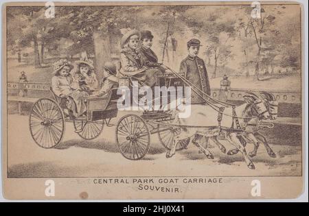 Central Park Ziegenkutsche (Souvenir-Postkarte) ca. 1894 Anonymous, amerikanisch, 19th. Jahrhundert Diese Postkarte zeigt zwei Ziegen, die fünf Kinder in einer Kleinwagen-Kutsche ziehen, wobei ein uniformierter Begleiter an der Seite entlang geht. Ein Junge fährt neben einem Mädchen auf der Kiste sitzend, beide gut angezogen, und zwei Mädchen und ein Junge sitzen auf dem Rücken. In der Nähe der Mall wurden zwischen 1869 und Anfang des 20. Jahrhunderts Ziegenfahrten angeboten (siehe auch eine verwandte, aber weniger realistische Lithographie von Henry Schile und George Schlegel, veröffentlicht 1873, 'Preparing for a Drive', 54.90.1077). Central Park Goat Ca. Stockfoto