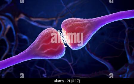 Synapse- und Neuronenzellen senden elektrische chemische Signale . 3D Abbildung Stockfoto