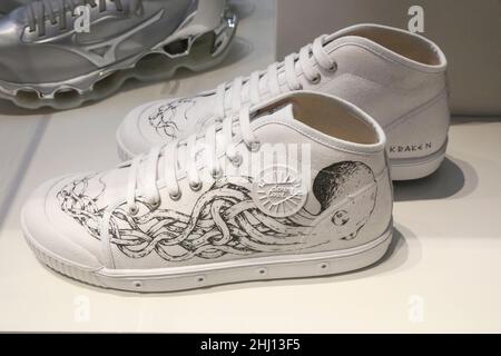 SNEAKER BETRETEN DAS MUSEUM IM MUSÉE DE L'HOMME IN PARIS Stockfoto