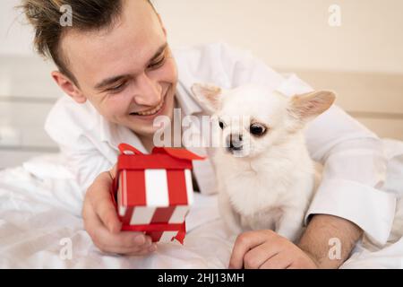 Hundegeburtstag. der kaukasische Mann liegt morgens mit einem chihuahua Hund in den Händen auf dem Bett und gibt eine rote Schachtel. Das Konzept der Geschenke für Geliebte Stockfoto