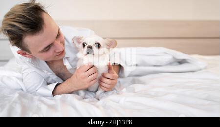 Mann am Morgen lächelt mit seinem chihuahua Hund im Bett. Banner. Stockfoto