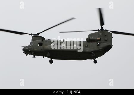 ZH897, eine Boeing Chinook HC.5, die von der Royal Air Force betrieben wird und am Prestwick International Airport in Ayrshire, Schottland ankommt. Stockfoto