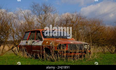 Altes, rostiges, rotes, rumänisches, kommunistisches Auto, das von der Natur verschlungen wurde, das Anfang des Frühlings gefangen genommen wurde Stockfoto