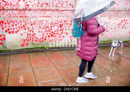 Fußgänger werden an der National Covid Memorial Wall in London neben roten Herzen, die diejenigen darstellen, die an Covid-19 gestorben sind, gesehen. Stockfoto