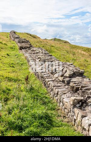 Hadrians Wall at Caw Gap, Shield on the Wall, Northumberland Großbritannien Stockfoto