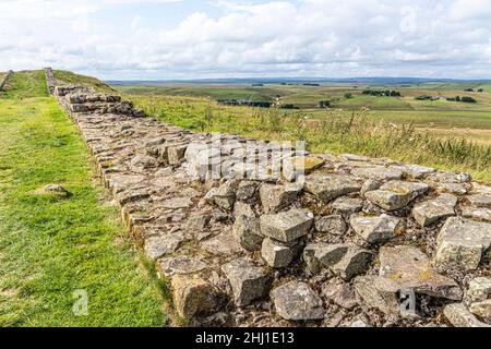 Hadrians Wall at Caw Gap, Shield on the Wall, Northumberland Großbritannien Stockfoto