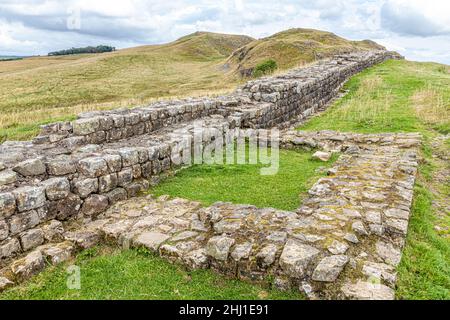 Revolver 41a an der Hadrians Wall at Caw Gap, Shield on the Wall, Northumberland Großbritannien Stockfoto