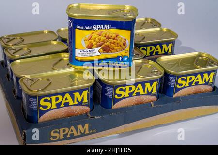 Dosen von Spam Luncheon Meat, USA Stockfoto