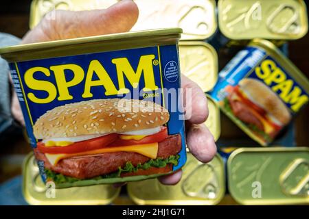 Dosen von Spam Luncheon Meat, USA Stockfoto