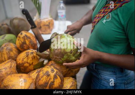 Coconut-Straßenverkäufer, der während der Pandemie Covid-19 in Kolumbien im historischen Gebiet von Cartagena de Indias tätig war Stockfoto